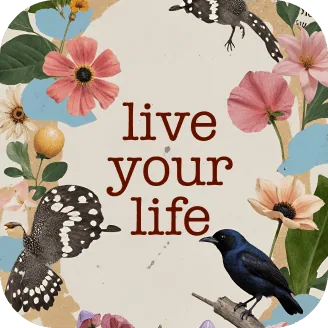 Affirmation widget — live your life