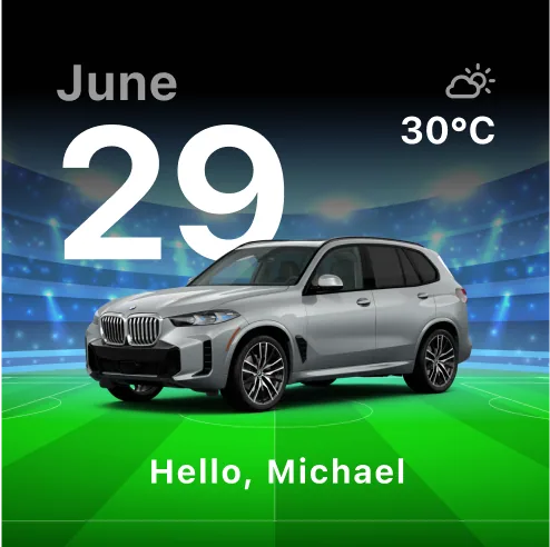 Vehicle widget