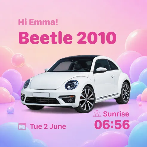 Vehicle widget